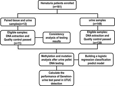 A Urine-Based Liquid Biopsy Method for Detection of Upper Tract Urinary Carcinoma